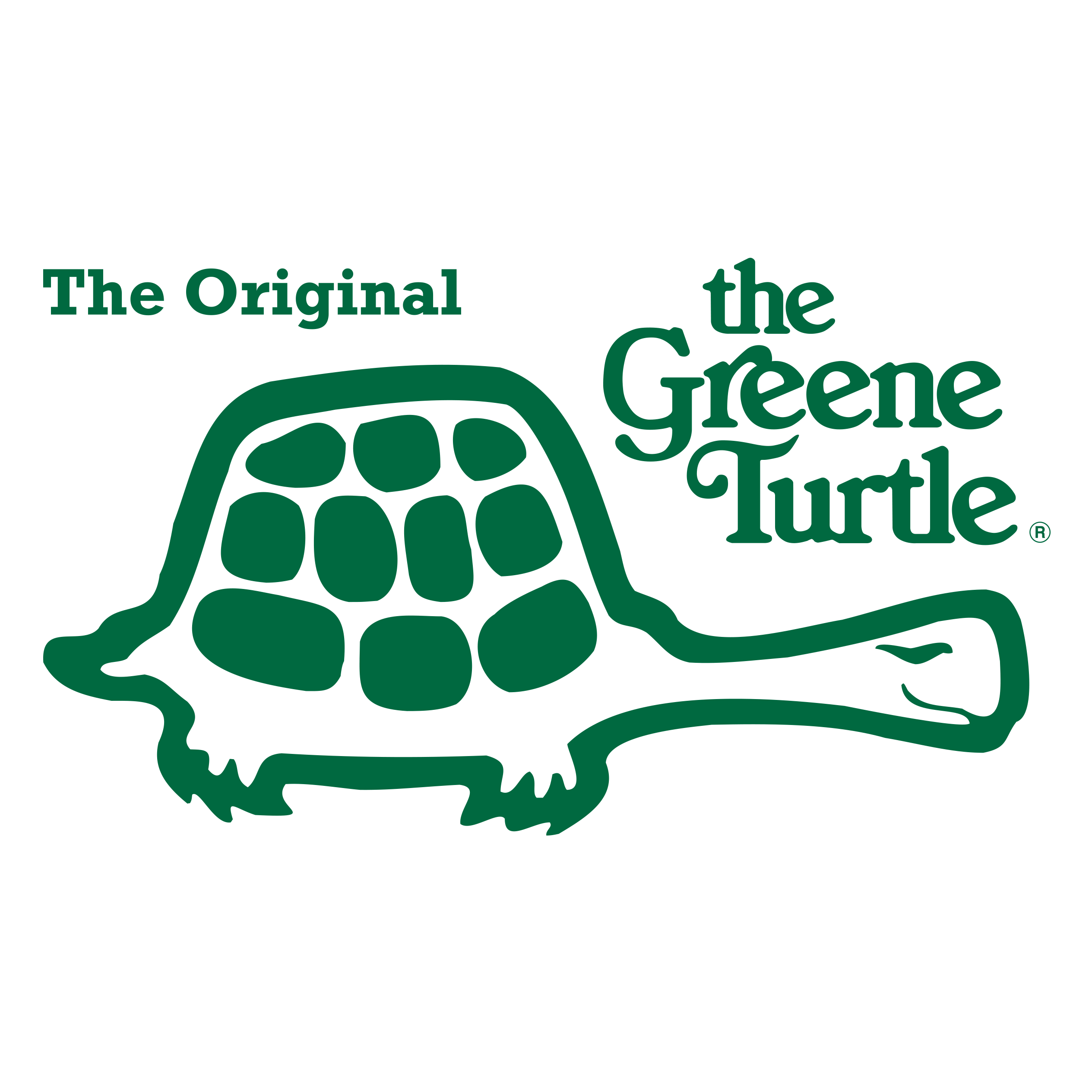 The Original Greene Turtle Photo