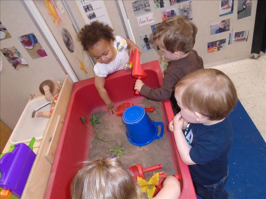One theme in our Toddler room is Growing Gardens. Here, the children are exploring soil and gardening tools in our Sensory Table during Discovery Time!