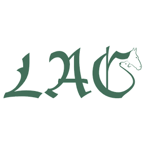 Leading Animal Chiropractic