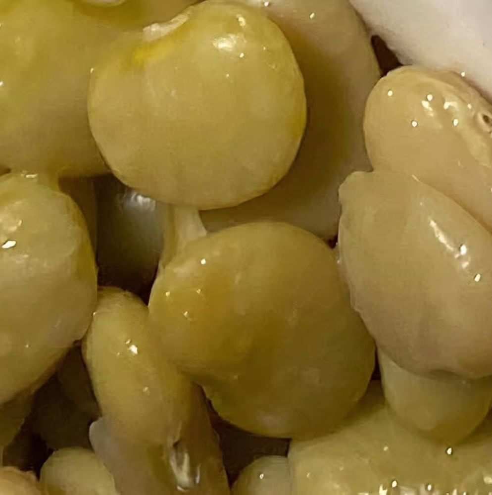 Lima Beans