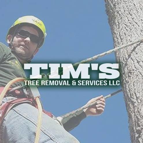Tim's Tree Removal And Services LLC Logo