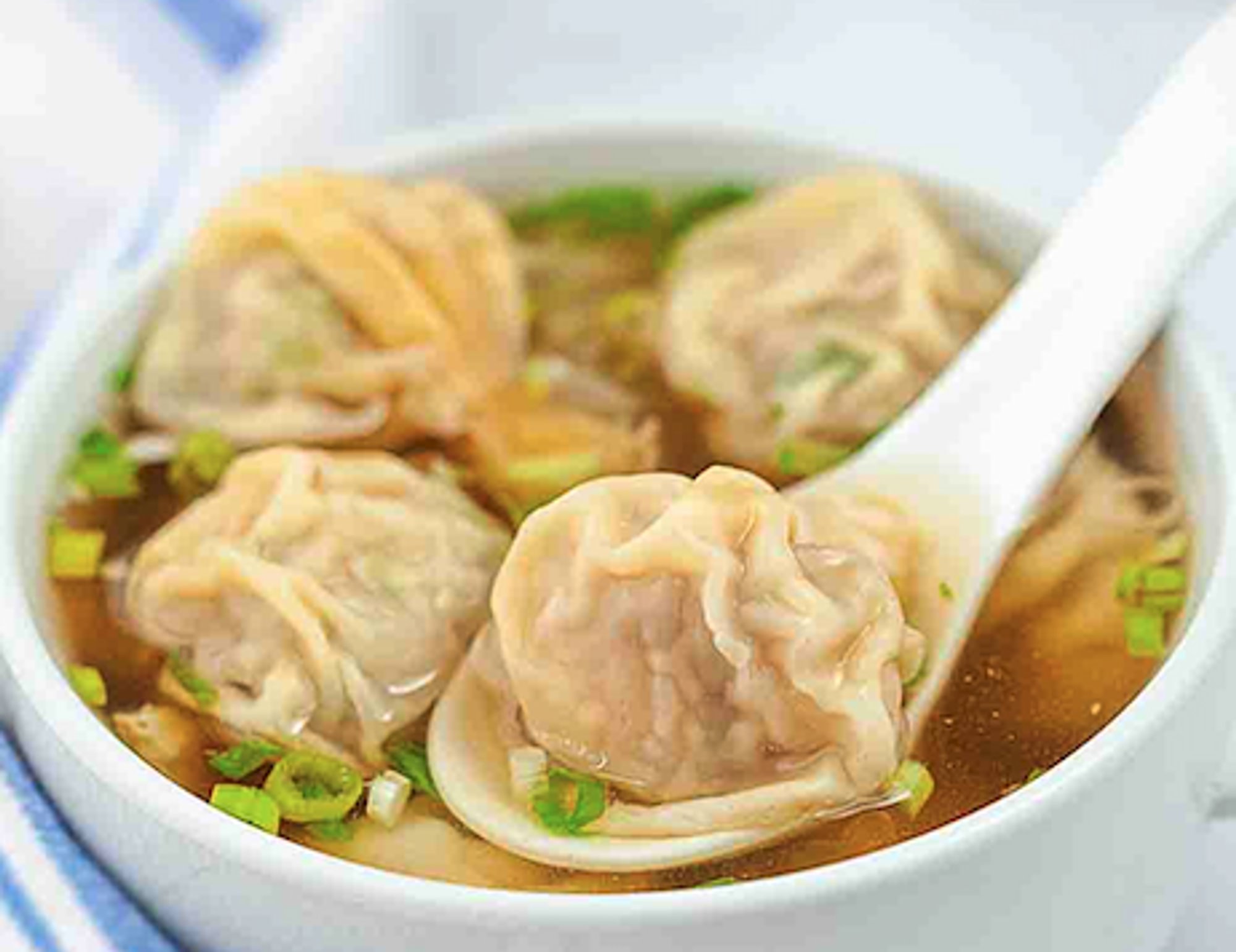 Wonton Soup