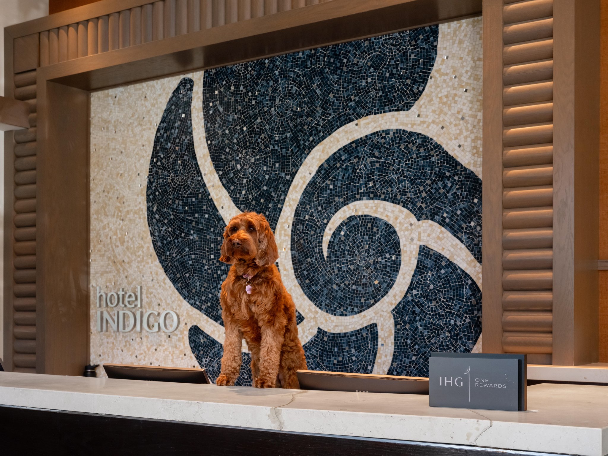 Hotel Indigo Long Island - East End by IHG Image