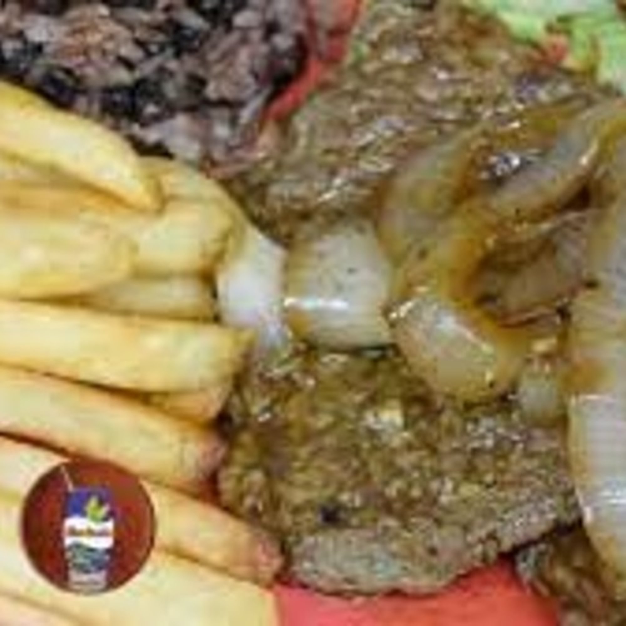 Bistec Encebollado