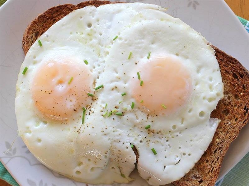 Egg (1)