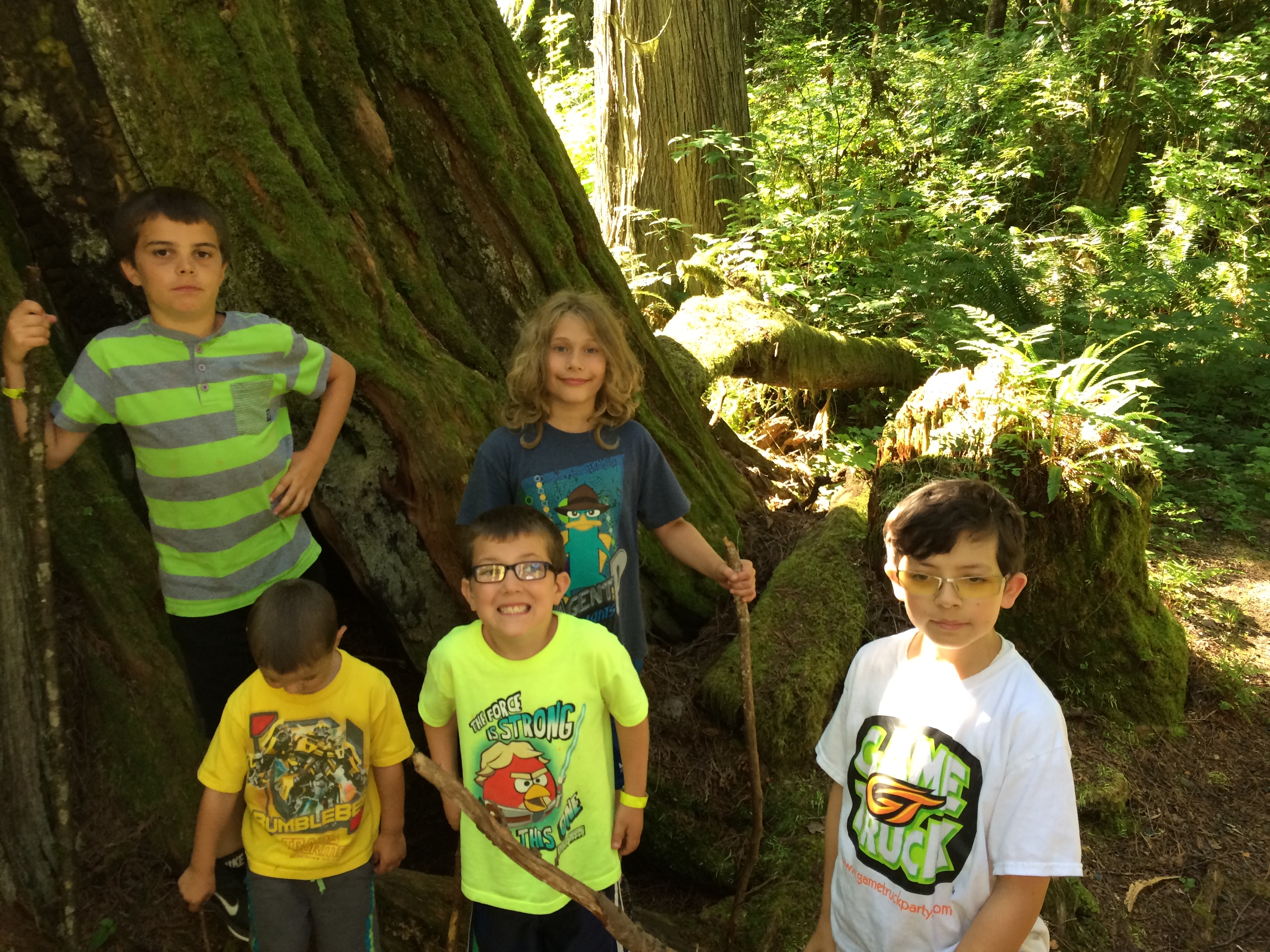 New Hope North City Image