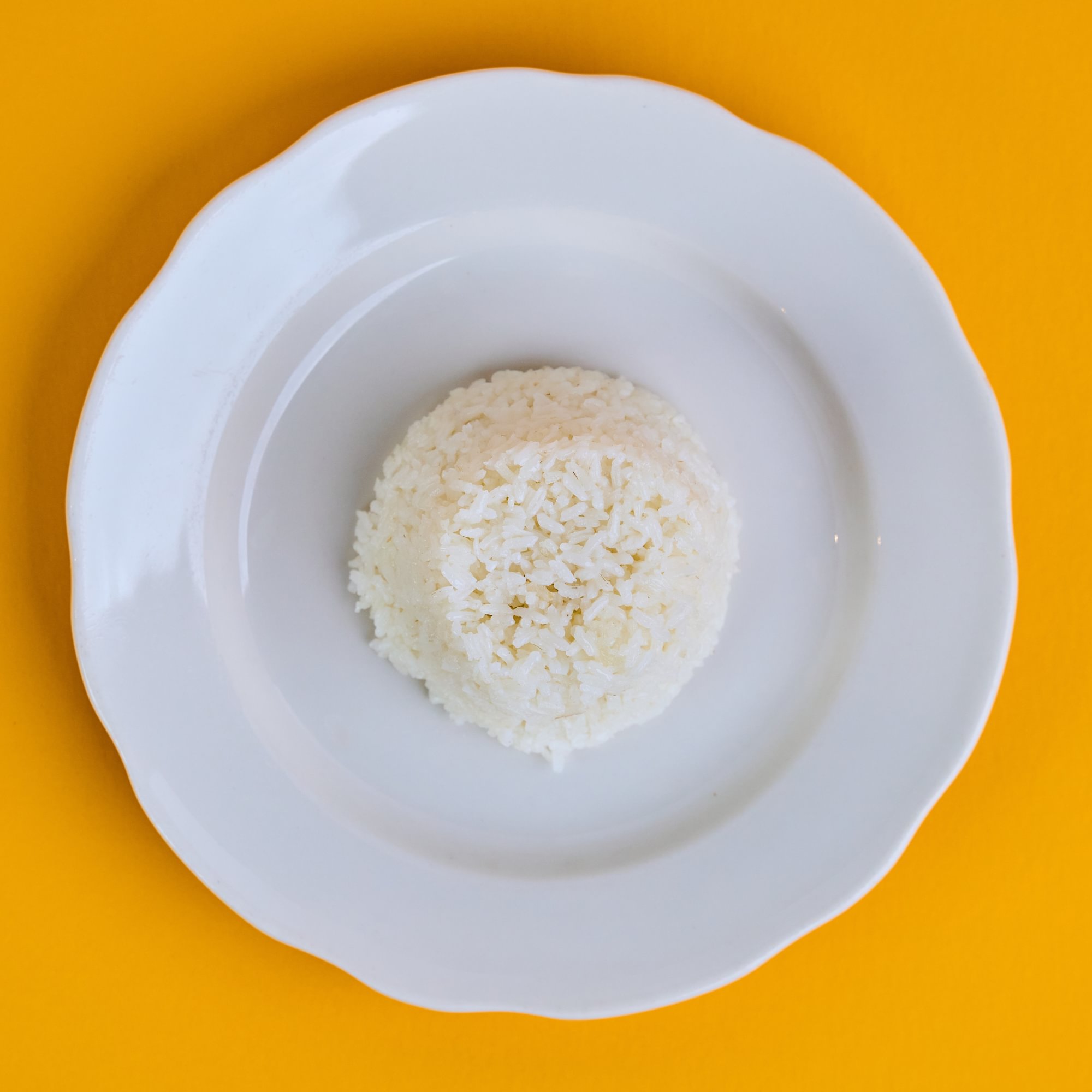 White Rice