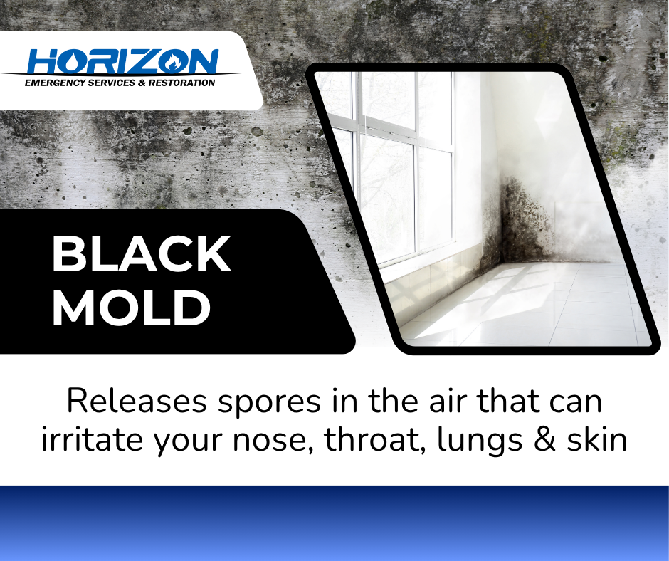 Horizon Emergency Services & Restoration Image