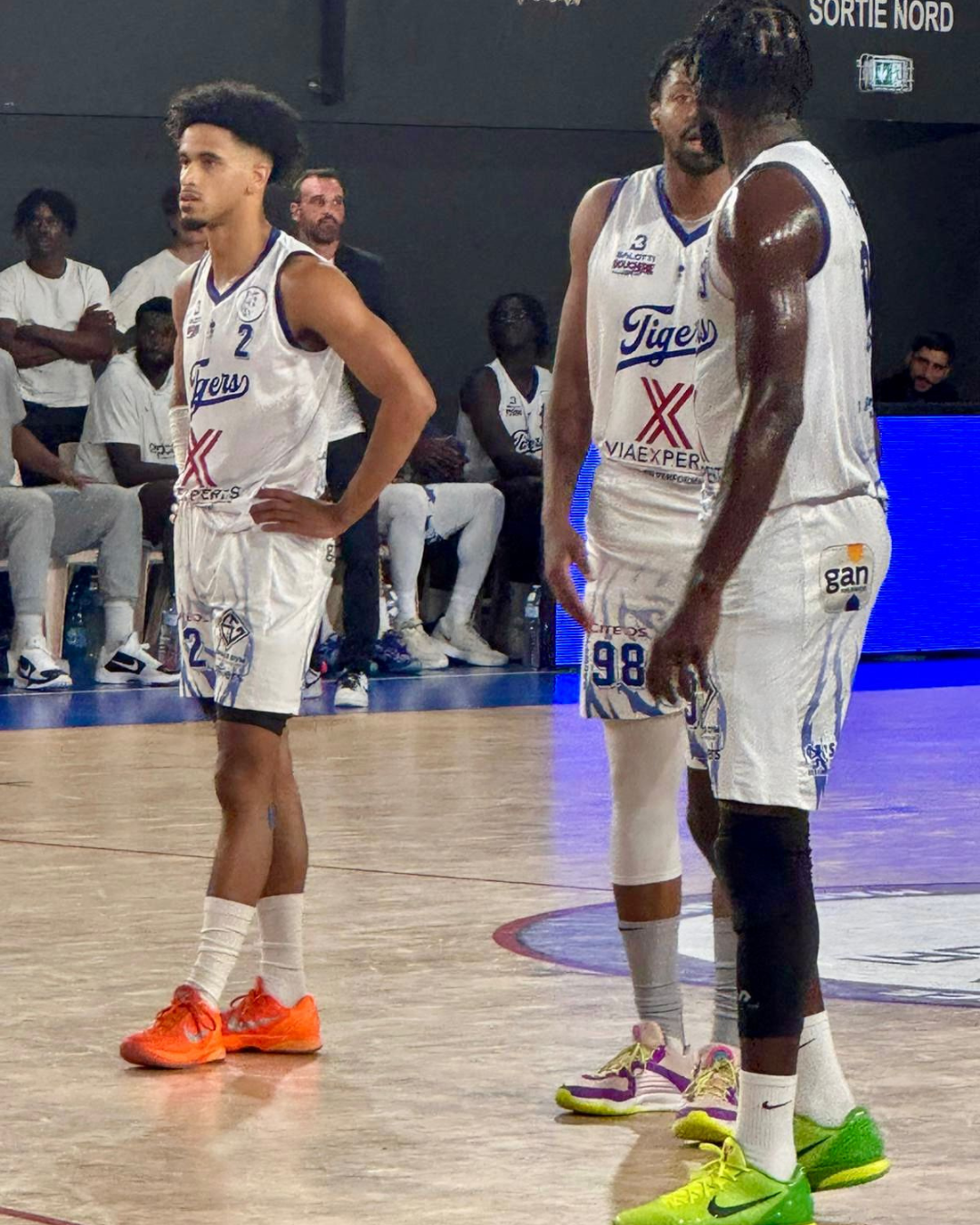 Miniature de la galerie