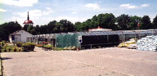 Images Sequoia Centrum Ogrodnicze