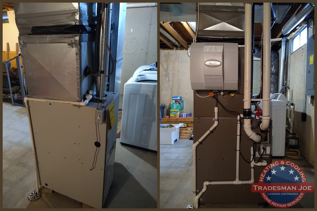 Images Tradesman Joe