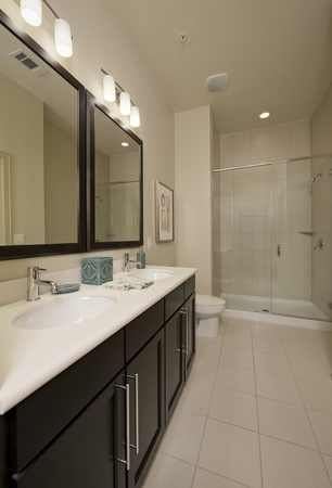 Images Domain by Windsor
