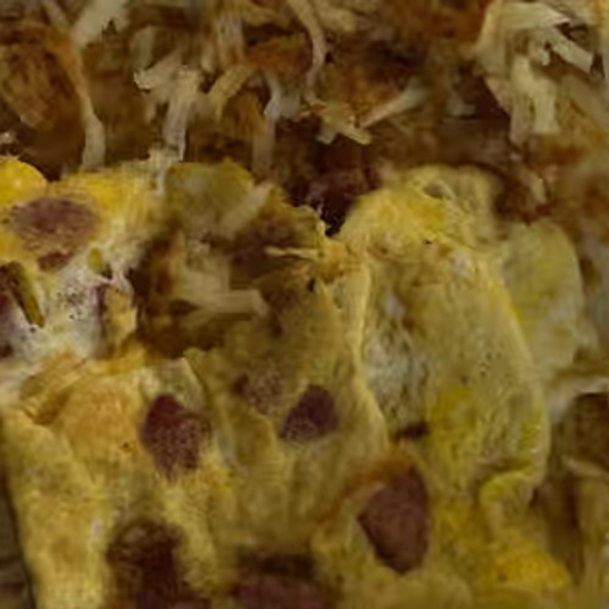 Parker House (Sausage Spiced Chicken)