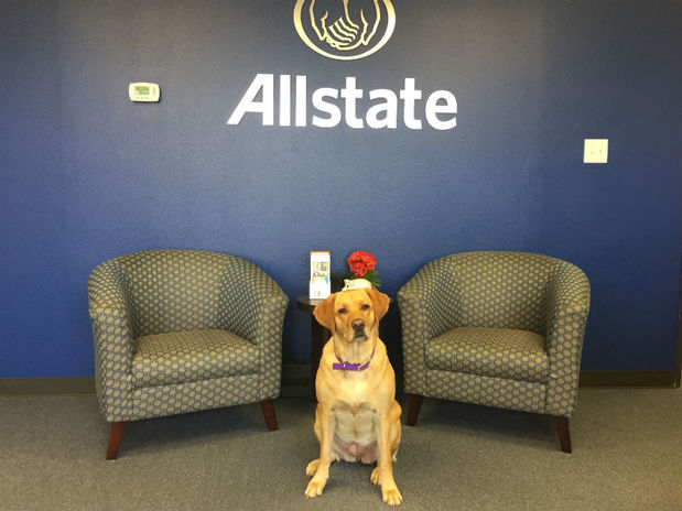 Images Allstate Insurance Agent: Carter Schneider