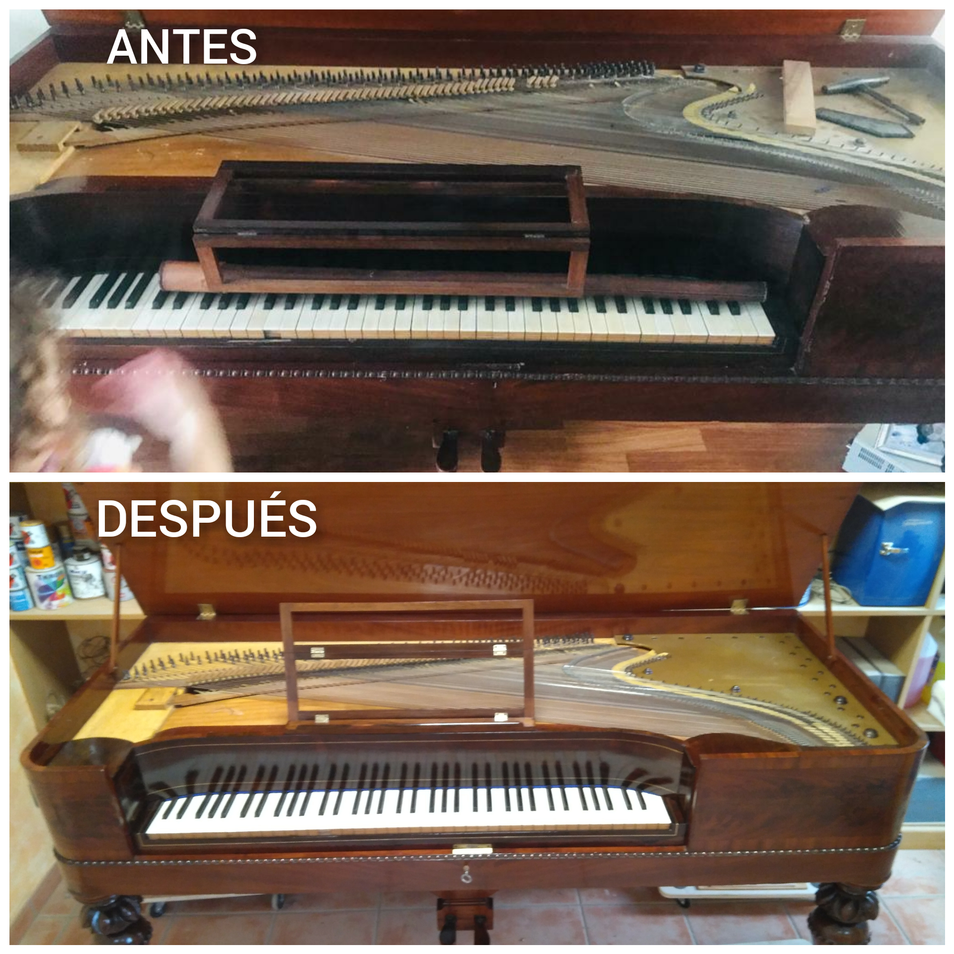 Galería en miniatura