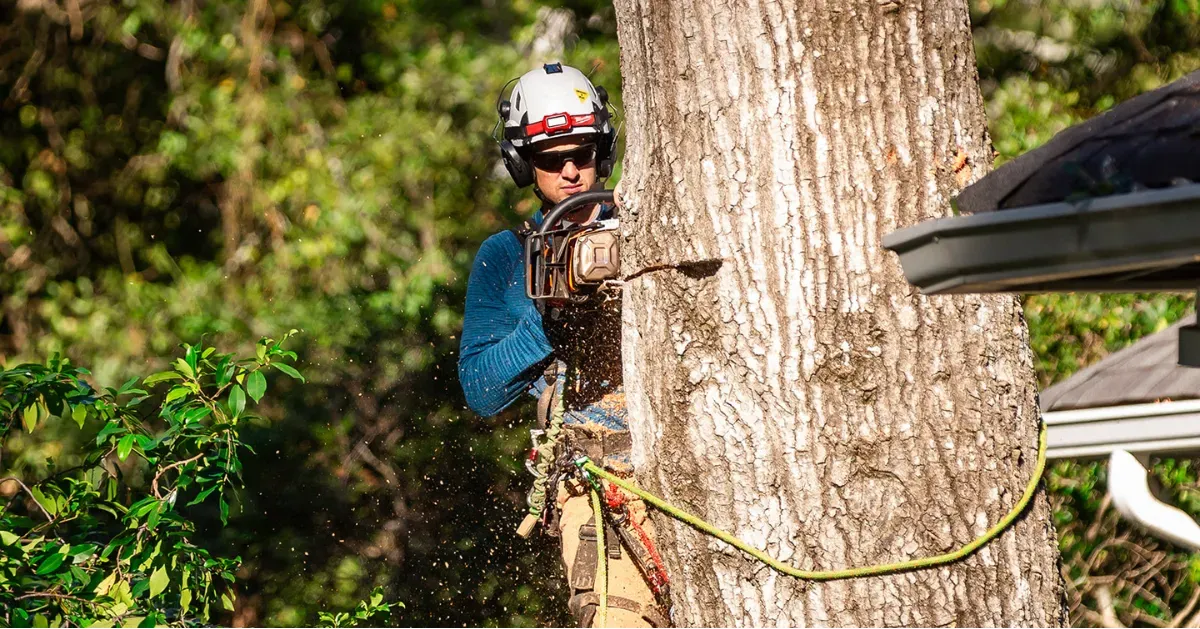 Heritage Tree Services Image