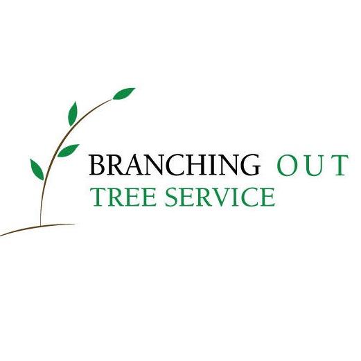 Branching Out Tree Service Photo