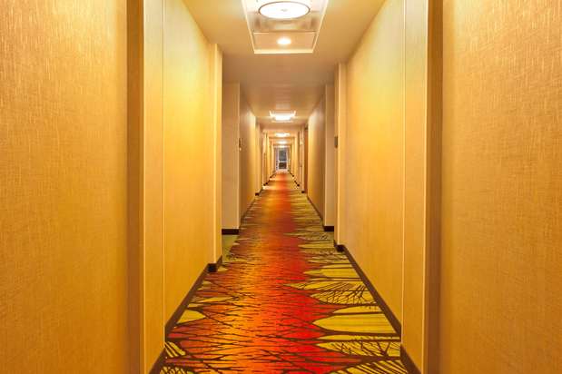 Images Hilton Garden Inn Birmingham SE/Liberty Park