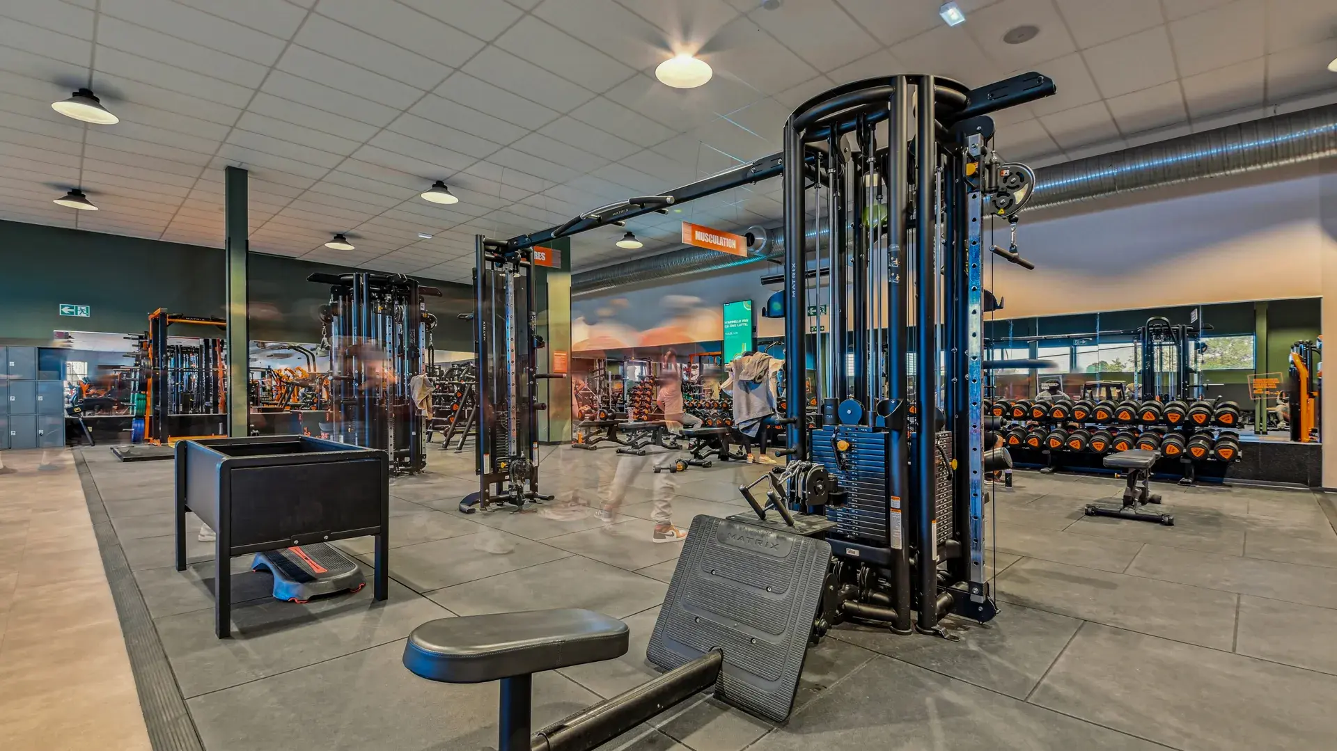 Miniature de la galerie