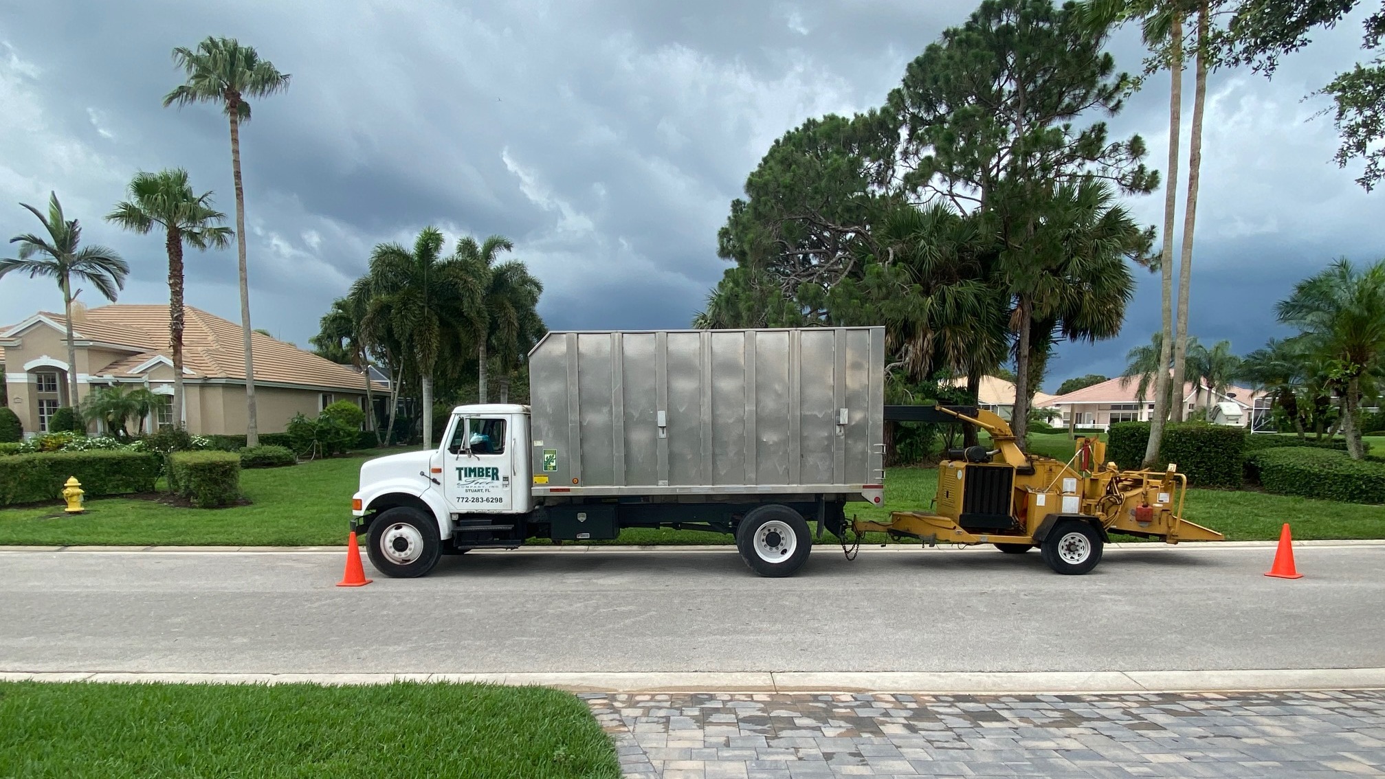 Timber Tree Co Image