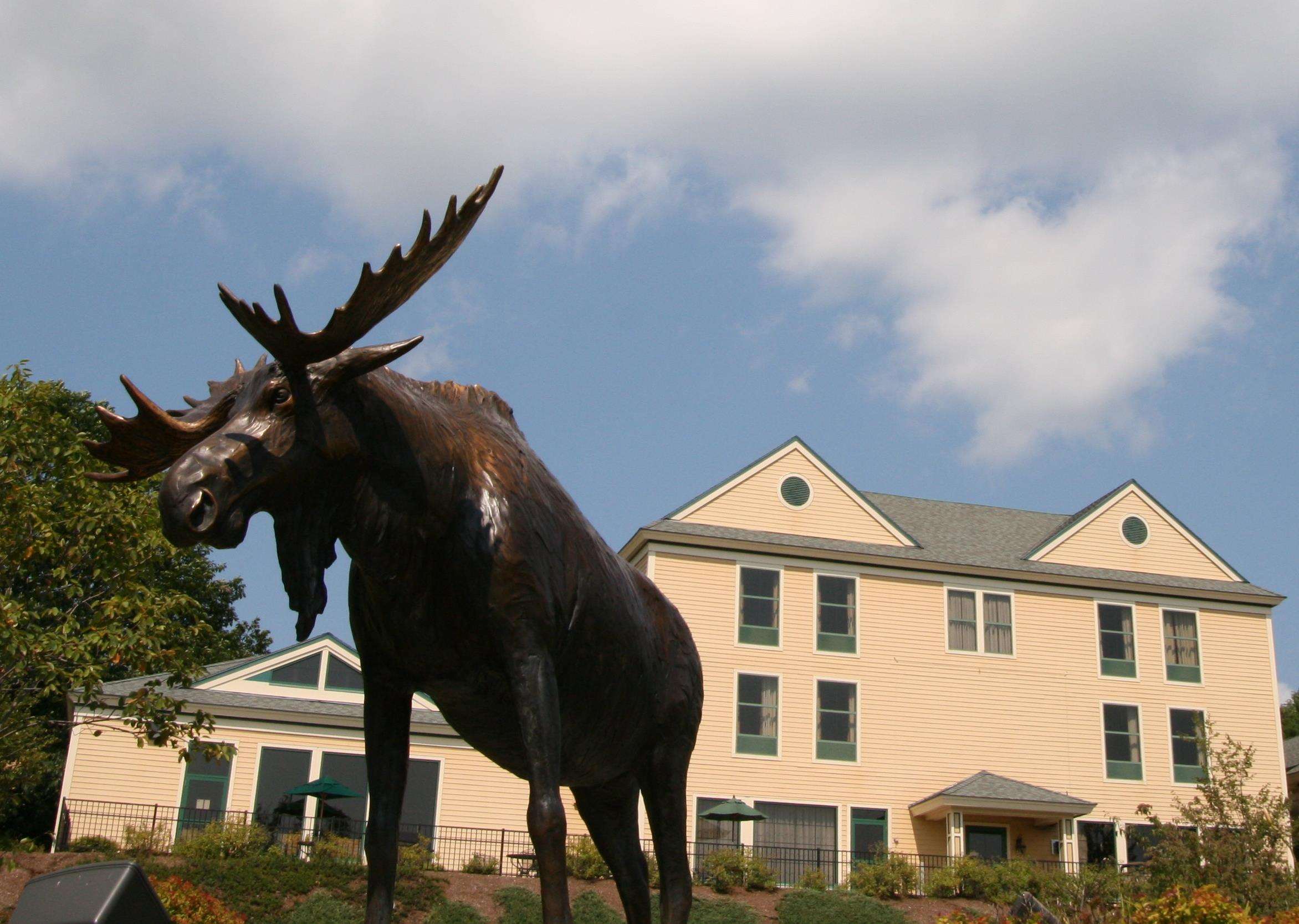 Hampton Inn Freeport/Brunswick Photo