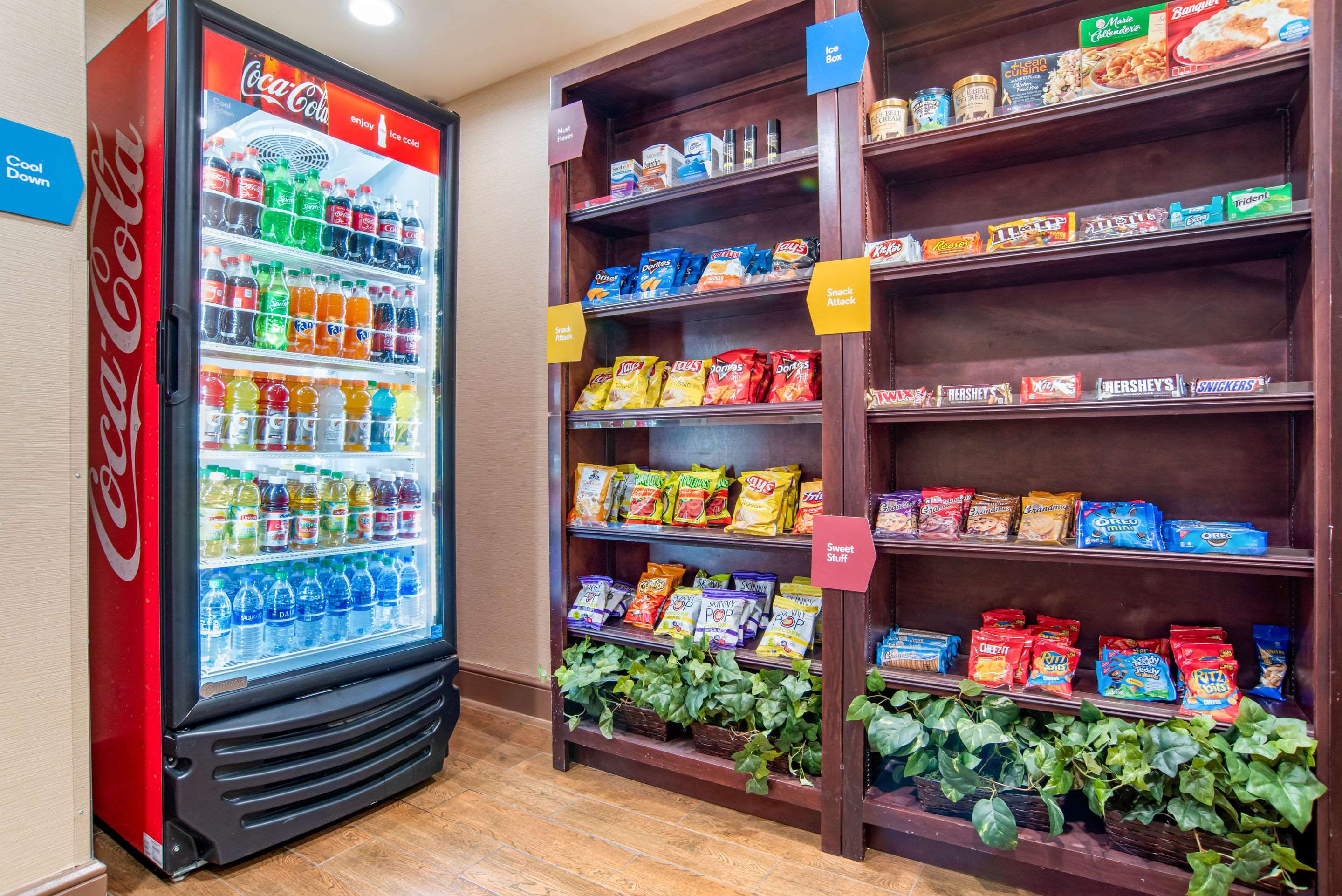 Comfort Suites Photo