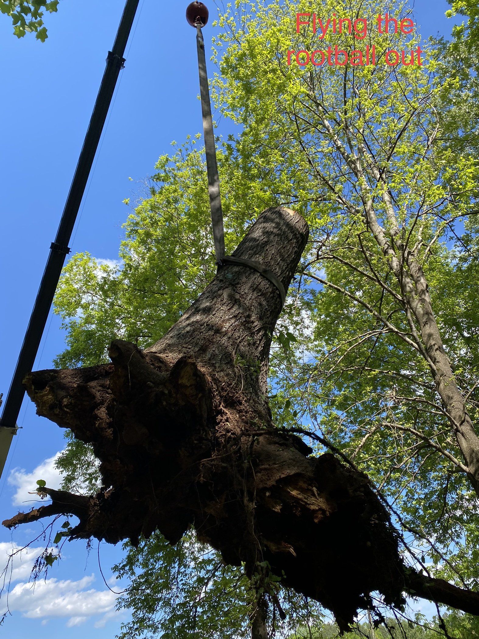 Cowart Tree Service LLC Image