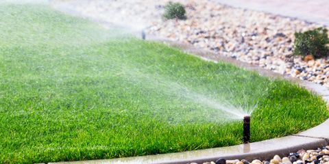 How Much Water Does Your Lawn Need?