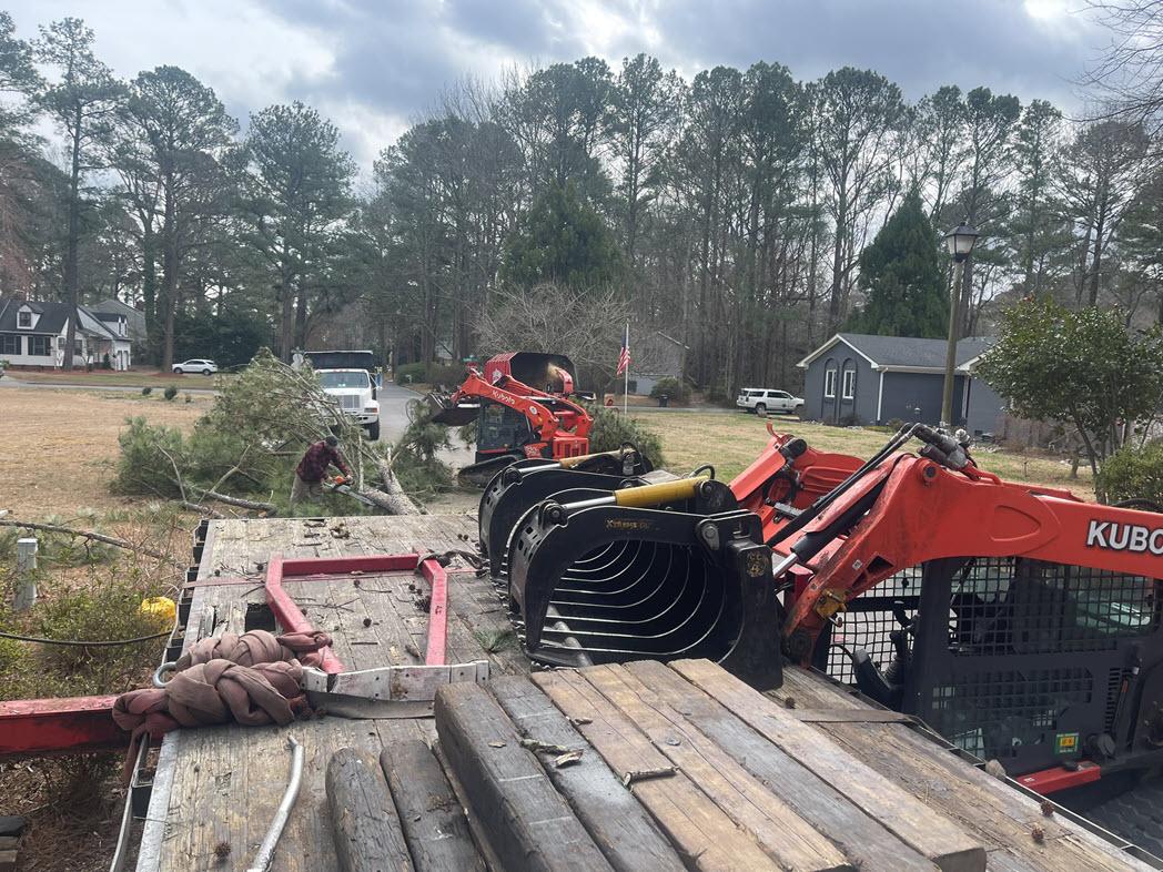 DeForest Tree Service Image