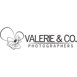 Valerie and Co Logo
