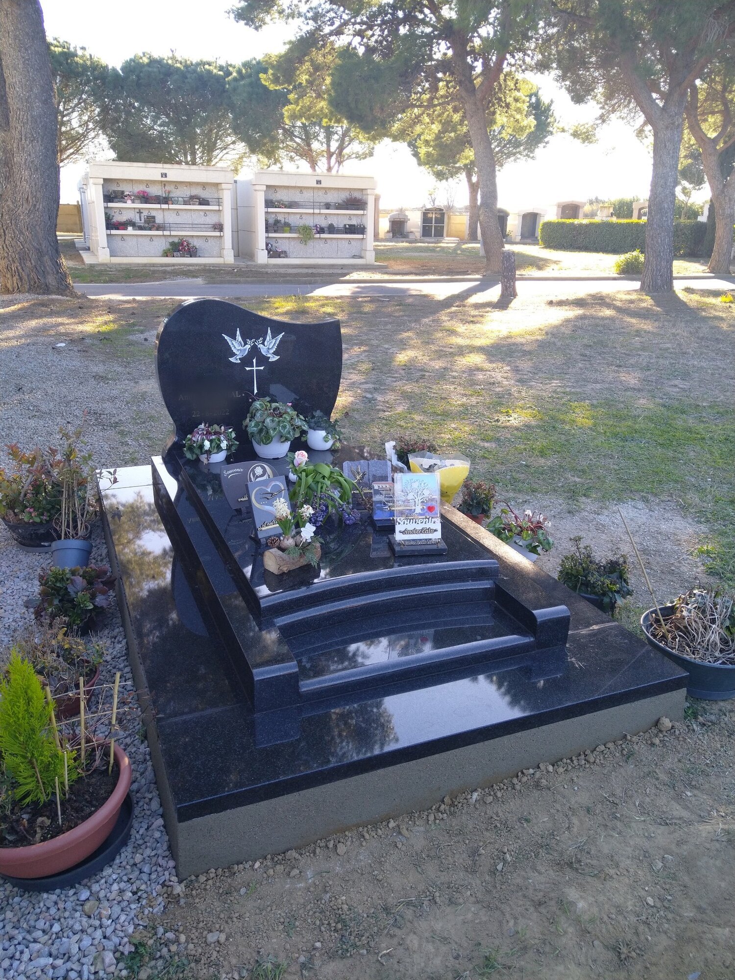 Miniature de la galerie