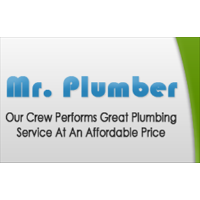 Mr. Plumber