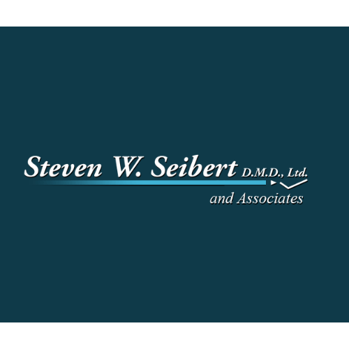 Seibert Steven DMD MS