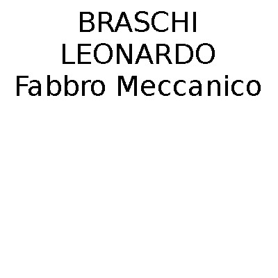 Braschi Leonardo Fabbro