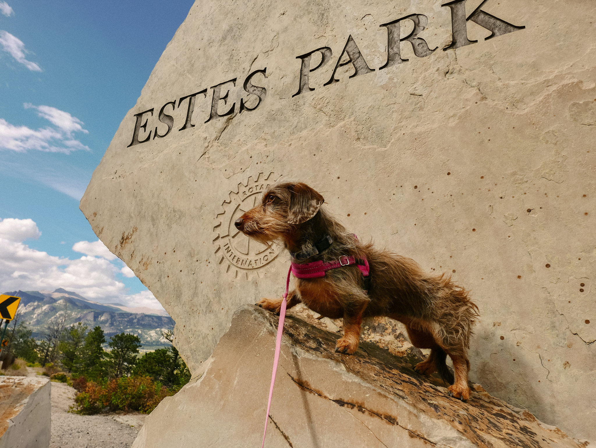 Holiday Inn Estes Park by IHG Image
