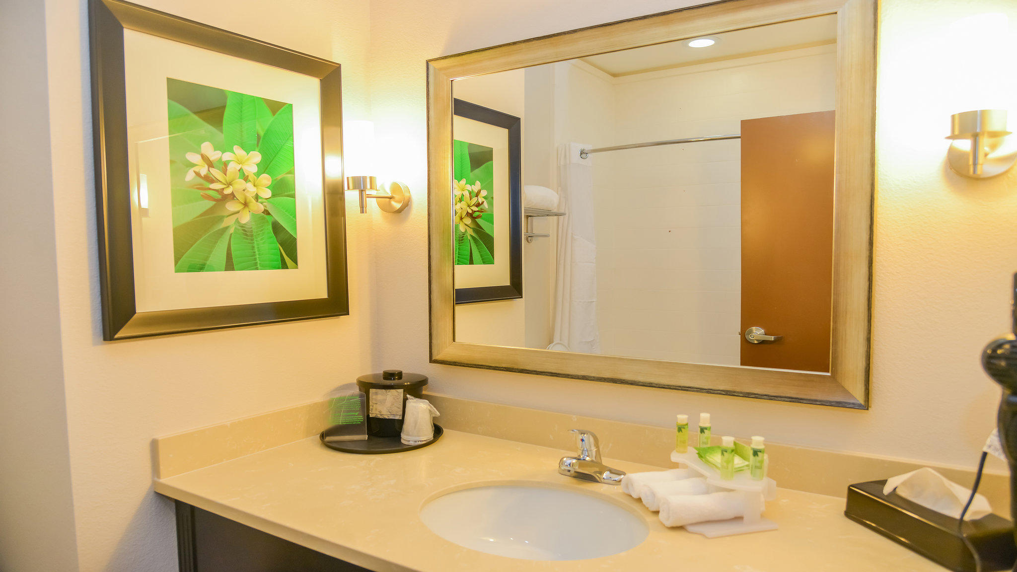 Holiday Inn Express & Suites Cuero Photo