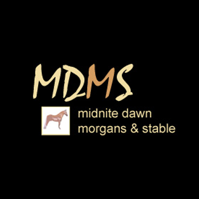 Midnite Dawn Morgans & Stables