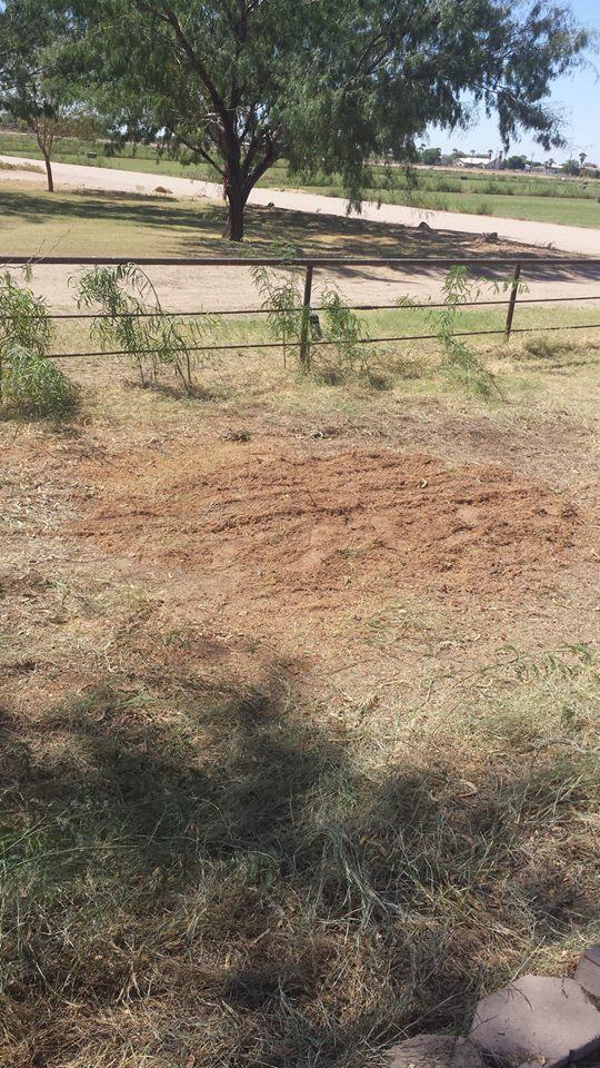 Pendleton Tree Service Yuma, AZ Business Profile