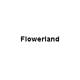 Flowerland Photo