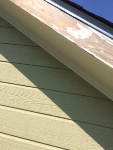 GUNN'S Painting Image