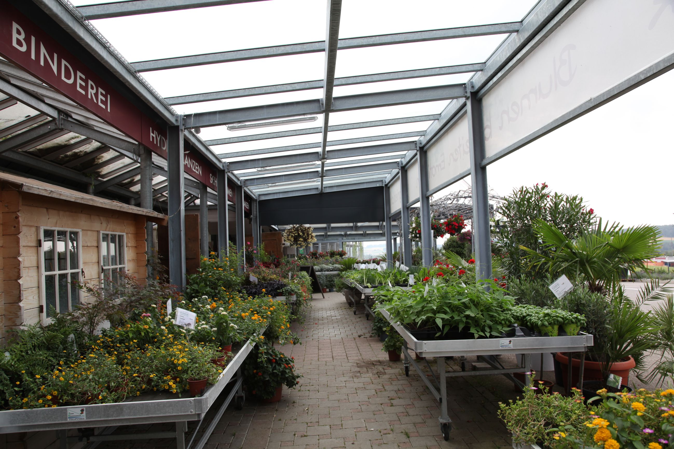 Galerie-Thumbnail