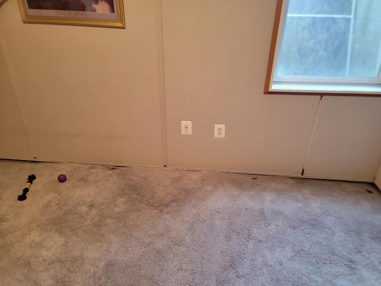 My Carpet Cleaning & Restoration Service Image