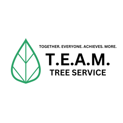 TEAM Contracting