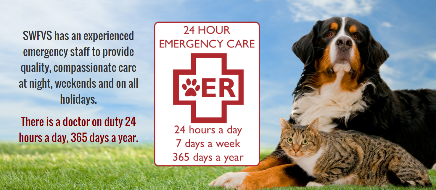 Southwest Florida Veterinary Specialists & 24-Hour Emergency Hospital Photo