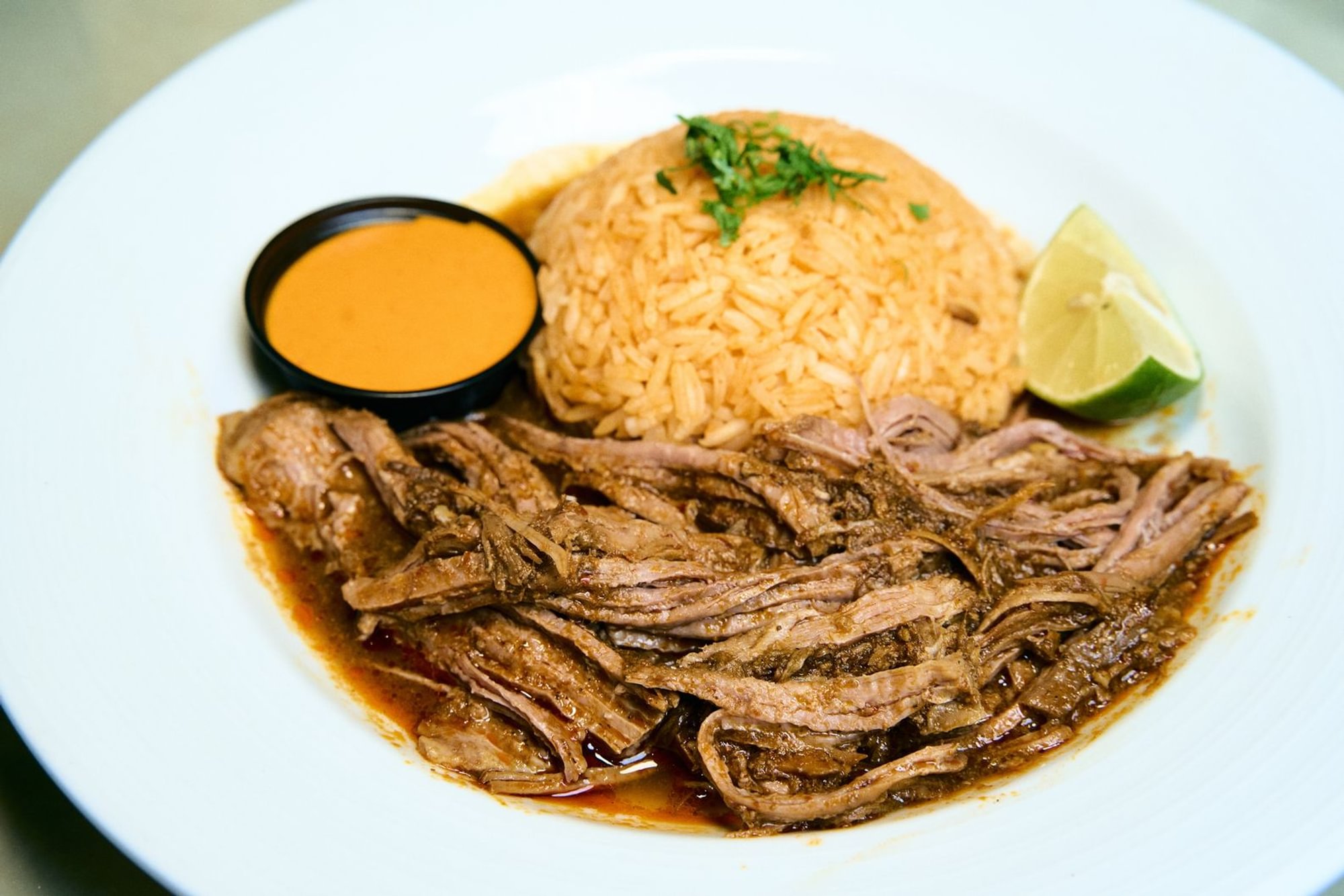 Birria Plate
