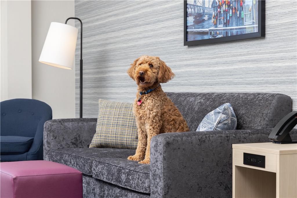 Home2 Suites by Hilton Kittery Image