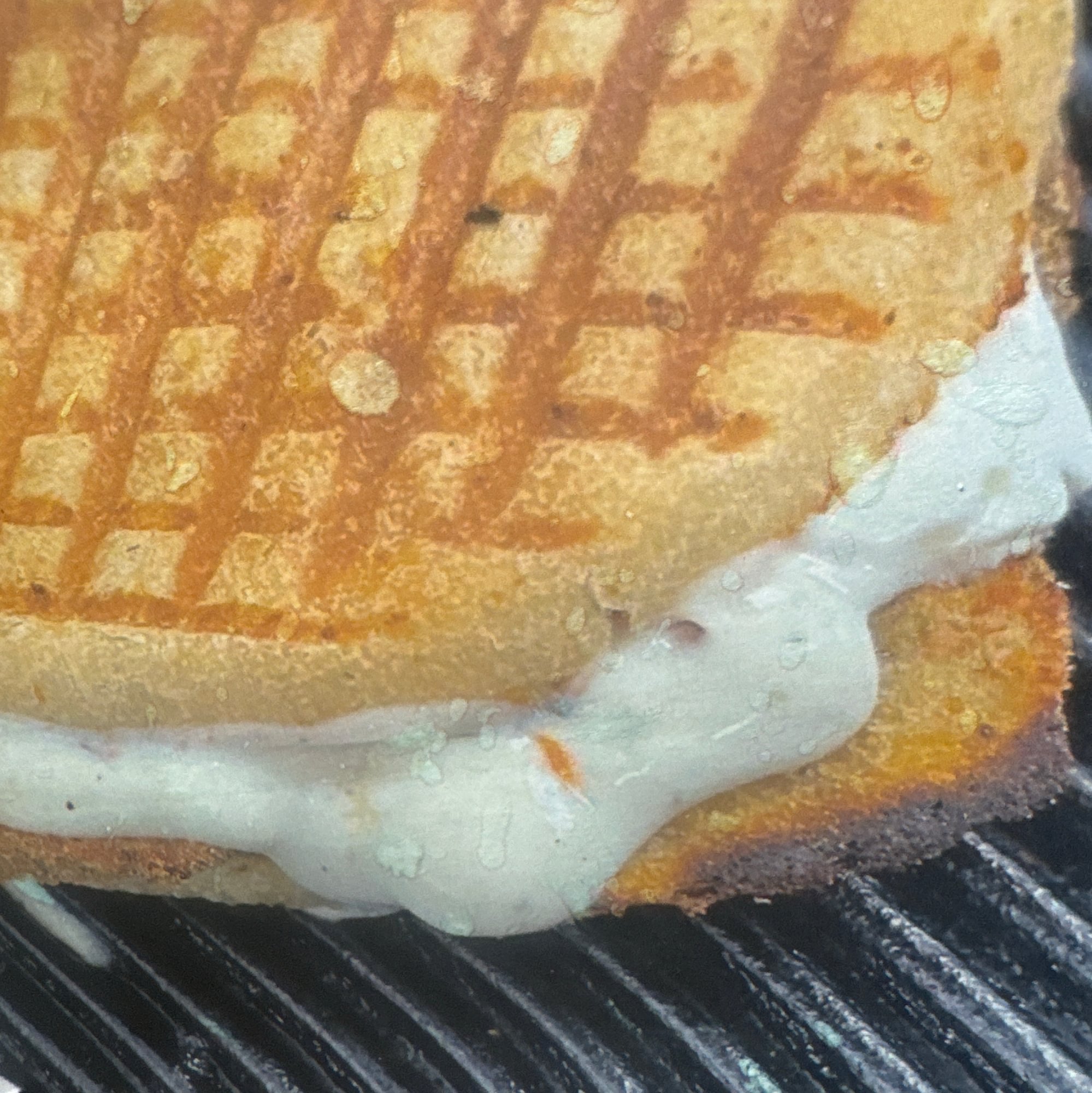 Eggplant, Fresh Mozzarella, Roasted Peppers & Ranch Panini