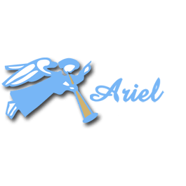 Ariel Janitorial Service Inc.