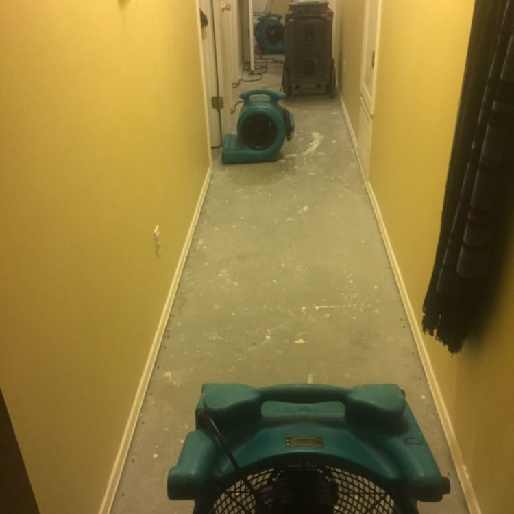 Admiral Steamer Cleaning & Restoration Image