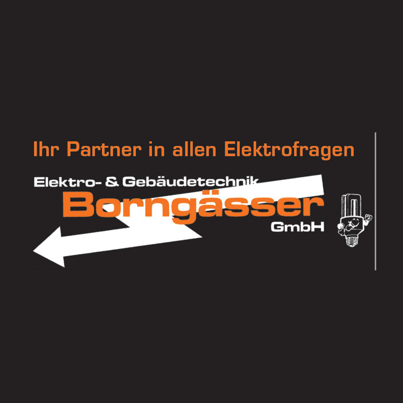 Logo von Elektrotechnik Borngässer Albert GmbH